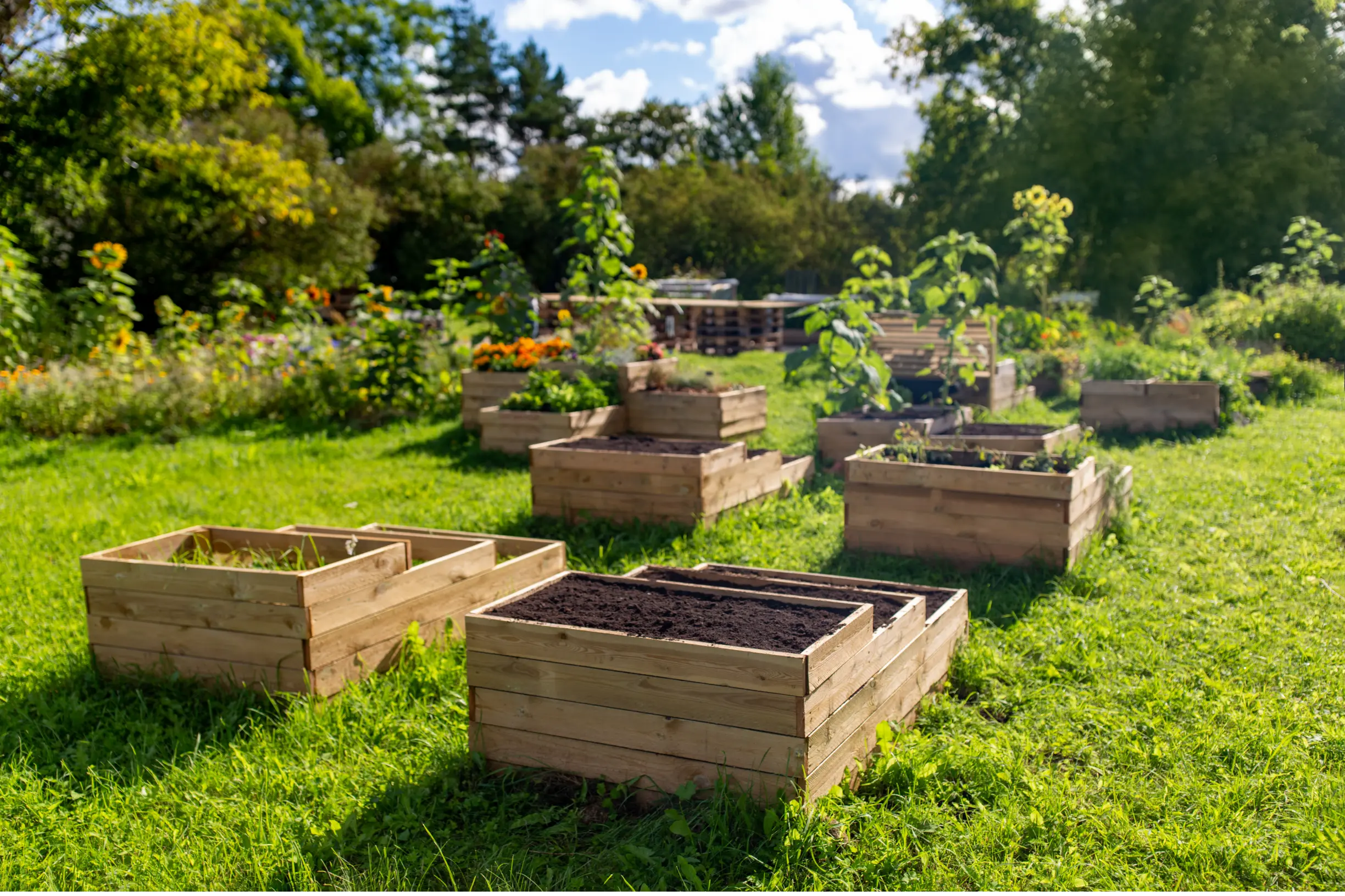 Residential landscaping 10